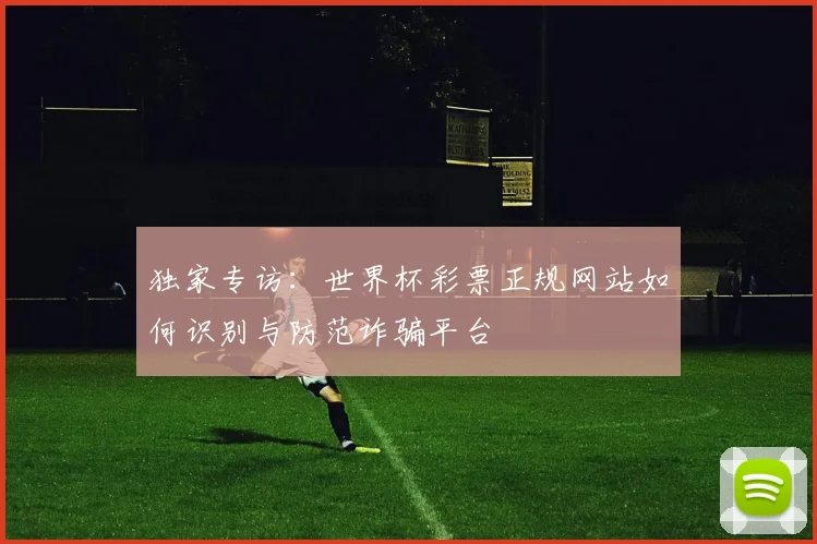 独家专访：世界杯彩票正规网站如何识别与防范诈骗平台
